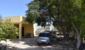 Great Country Villa with Olive trees in Crevillente.  Ref:mks2670