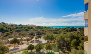 Spacious Apartment with Sea Views in Campoamor. Ref:ks3795